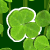 4 Leaf Clover - Hidden Objects