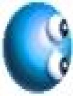 <img src=