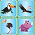 Play Game