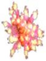 <img src=