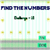 Find the Numbers Challenge 10