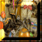 Play Game