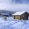 Hidden Stars Welcome Snow