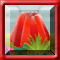 Jungle Jelly Stacking (byGameAngel) **AS3**