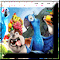 Find the Alphabets - Rio and Kong