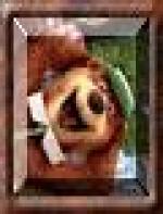 <img src=