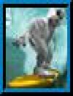 <img src=