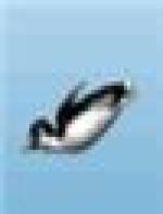Popup
