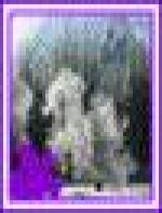 <img src=