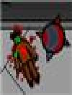Popup