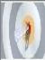 <img src=
