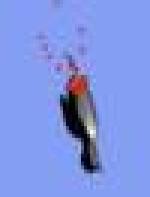 <img src=