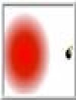<img src=