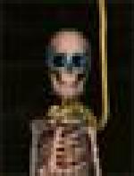 <img src=