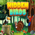 Hidden Birds