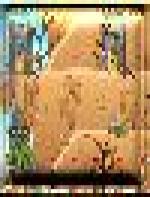 <img src=