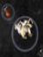<img src=