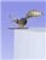 <img src=