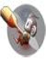 <img src=