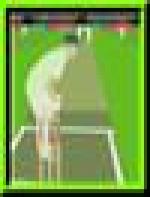 <img src=