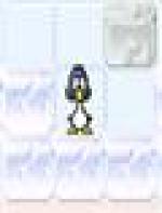 <img src=