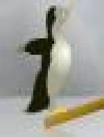 <img src=