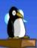<img src=