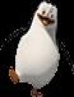 <img src=
