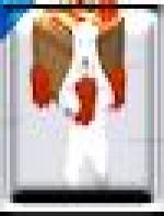 <img src=
