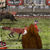 Play Game