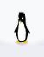 <img src=