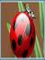 Popup