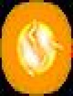 <img src=