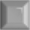 Raucher