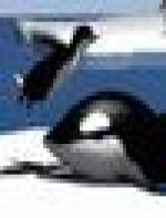 <img src=