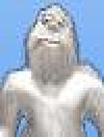 <img src=